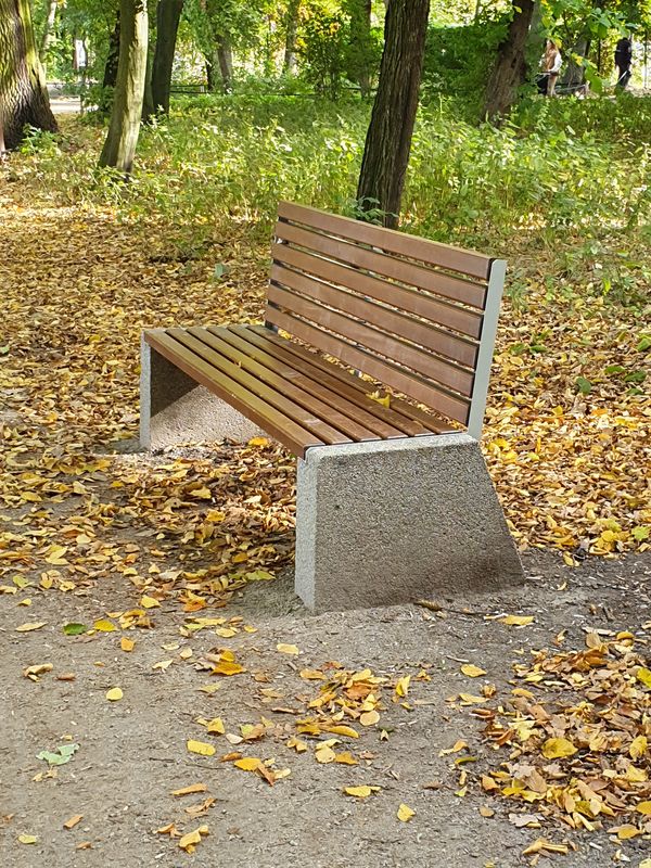 ławka w parku